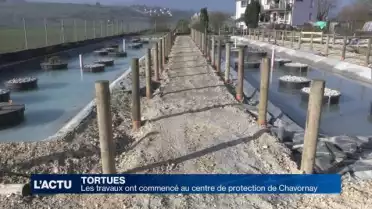 Une nouvelle carapace pour les pensionnaires de Chavornay