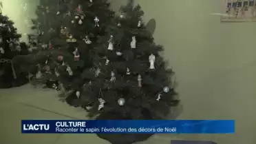 Raconter le sapin