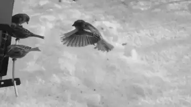 La sélection Mx3 de la semaine