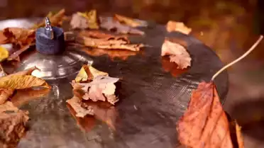Un groupe de pop rock genevois