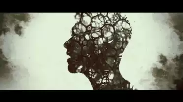 Kamikaze - Echoes
