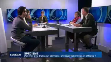 Les animaux doivent-ils avoir plus de droits ?