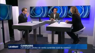 Faut-il légaliser la vente et la consommation de cannabis ?