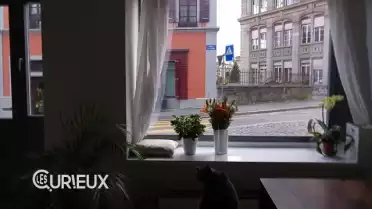 La maison dans la vitrine