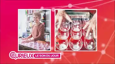 De quel instrument s'agit-il ?