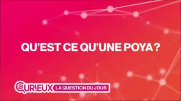 Qu&#039;est-ce qu&#039;une &quot;Poya&quot; ?