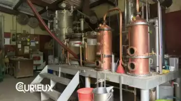 Du Whisky vaudois