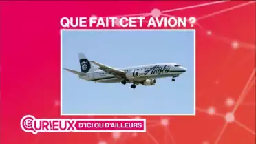 Des pizzas livrées... par avion !