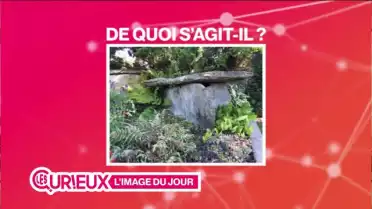 Des tombes préhistoriques visibles à Pully