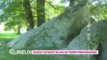 Un mini Mont Blanc à Fribourg