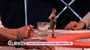 Rencontrer son double miniature