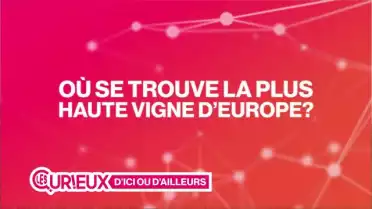 La plus haute vigne d&#039;Europe est valaisanne