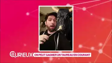 On peut gagner un taureau en courant