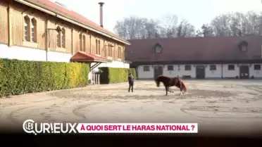 A quoi sert le Haras d&#039;Avenches ?