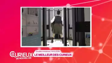 Le meilleur des Curieux de l&#039;année 2016