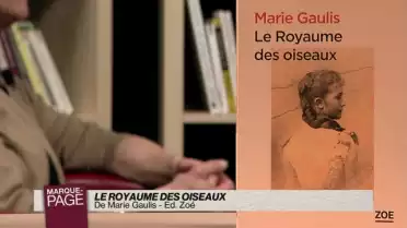Le royaume des oiseaux