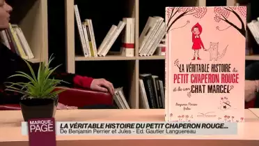 La véritable histoire du petit chaperon rouge et de son chat