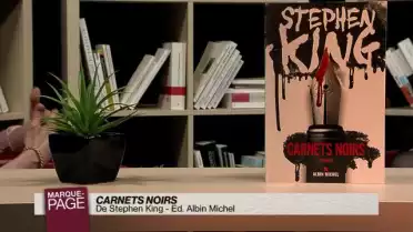 Carnets noirs