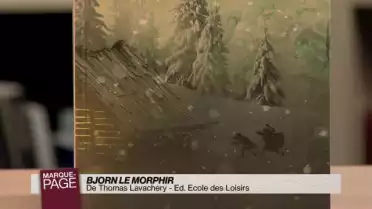 Bjorn le Morphir