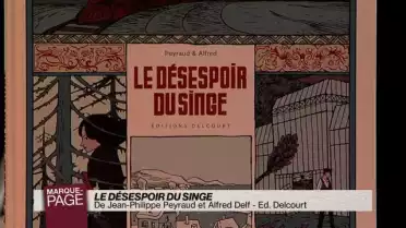 Le désespoir du singe