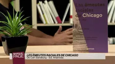 Les émeutes raciales de Chicago. Juillet 1919