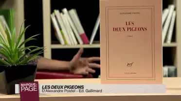Les deux pigeons