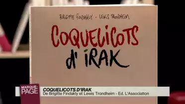 Coquelicots d&#039;Irak
