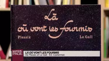 Là où vont les fourmis