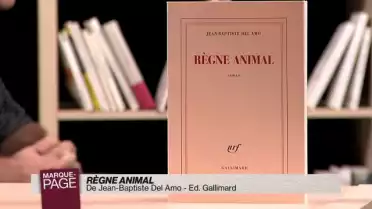 Règne animal