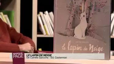 Le lapin de neige