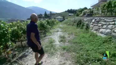 La Minute Antidote - Vieux et actifs