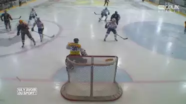 Les Dragons arrachent la victoire (2-1) face à Ambri-Piotta
