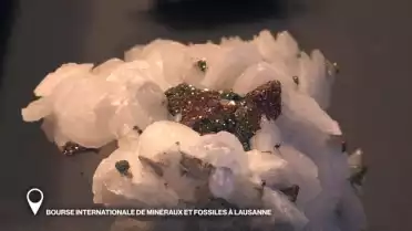 Bourse de mineraux et fossiles à Lausanne