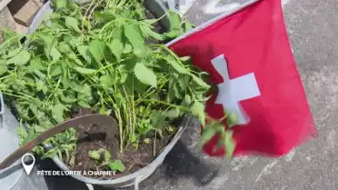 Fête de l’ortie à Charmey