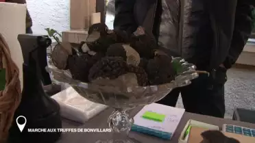 Marché aux truffes de Bonvillars