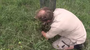 Une heure avec le jardinier de l&#039;Arboretum