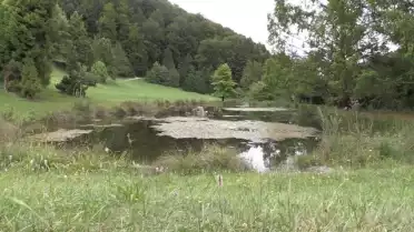 Découvrez les sentiers pédestres de l&#039;Arboretum