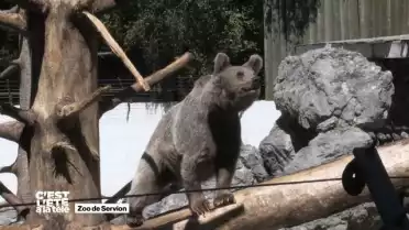 C'est l'été à la Télé vous emmène au zoo de Servion