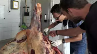 Stefane a testé le nourrissage des fauves