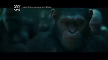 La Planète des Singes - Suprématie