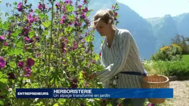 Un alpage transformé en jardin