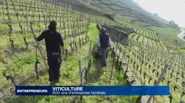 600 ans d&#039;entreprise familiale