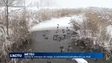 Après la neige, la sécheresse pénalise le Lac Noir