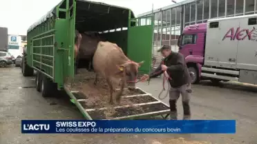 Les coulisses de la préparation pour Swiss Expo
