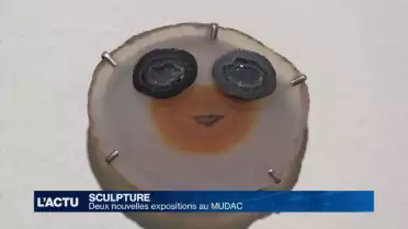 L&#039;humour et la grâce des objets