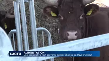 Une union pour sauver le dernier abattoir du Pays-d&#039;Enhaut