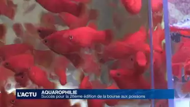 Les passionnés de poissons avaient rendez-vous à Lausanne