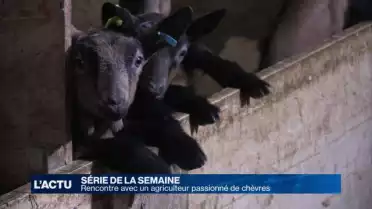 Complicité entre un agriculteur et ses animaux