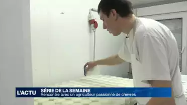De la traite à la production de fromage frais