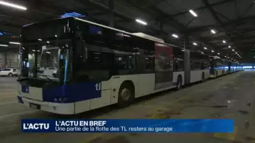 Une partie de la flotte des TL restera au garage